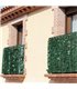 Celosia Enrrollable 1X3