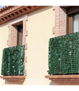 Celosia Enrrollable 1X3