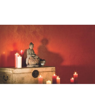 Spatula Stuhhi 24Kg  - Pinturas Vero