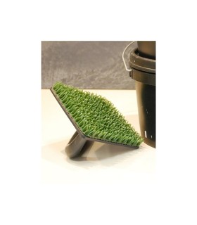 Talocha Para Piedra Spataca  - Pinturas Vero