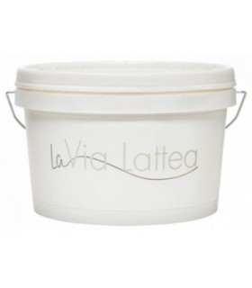 La Via Lattea 2.5 L  - Pinturas Vero