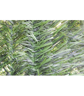 Seto Artificial 1.5 X 3  - Pinturas Vero